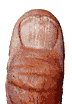 Thumb Nail
